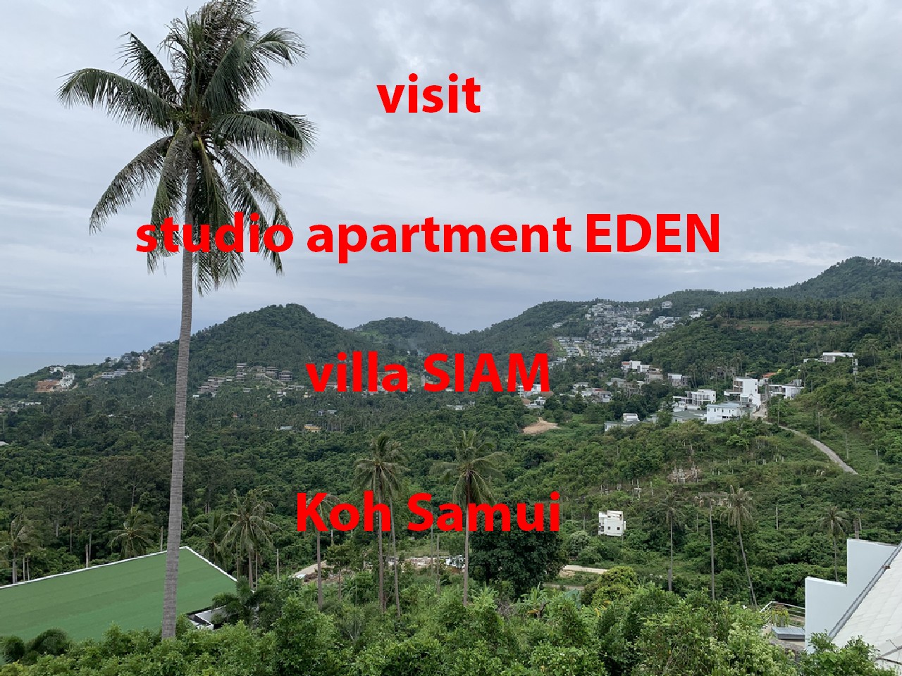rental studio apartment EDEN for digital nomad long term Youtube